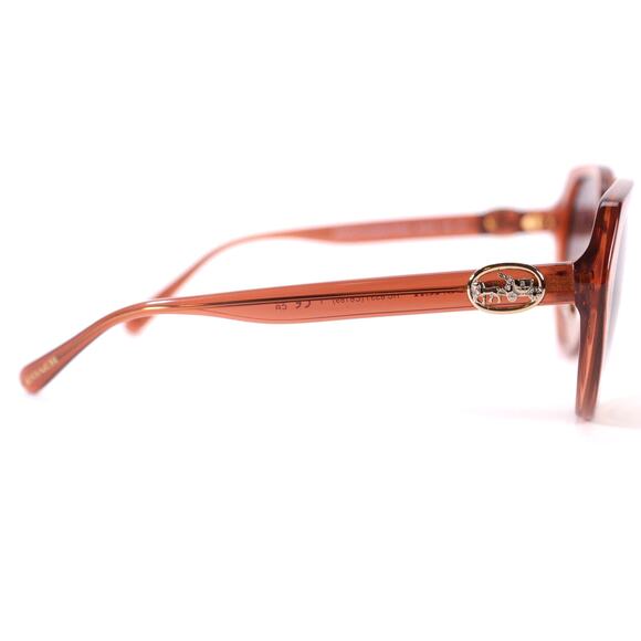 Coach Round Womens Sunglasses - Transparent Amber/Brown - NWT - Picture 4 of 13